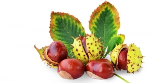 Akcja KASZTANOBRANIE 2021